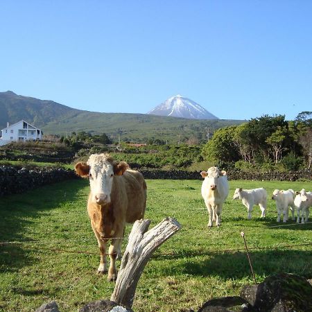 Casa Do Canto São Roque do Pico Zewnętrze zdjęcie